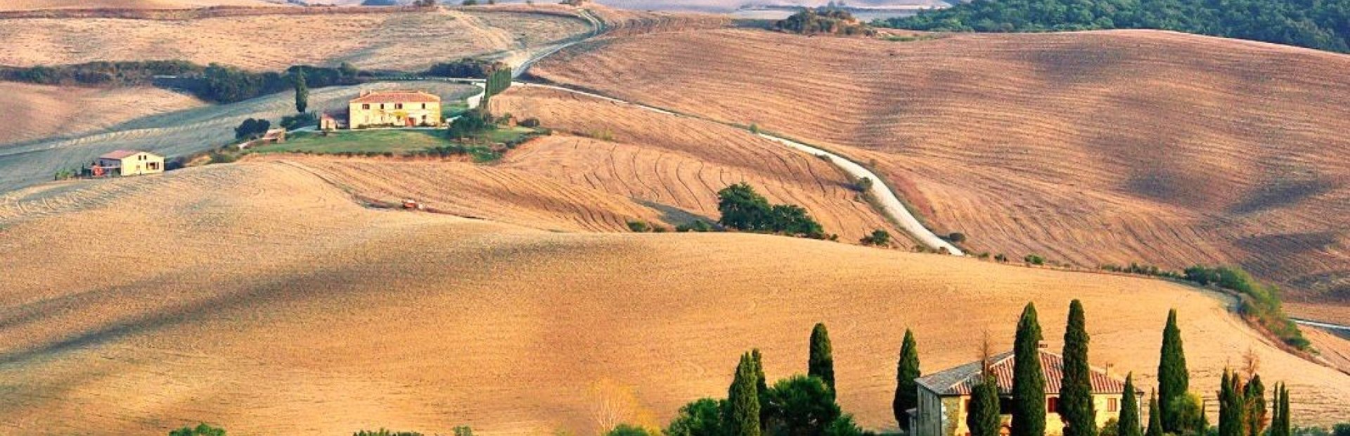 Toni Filice