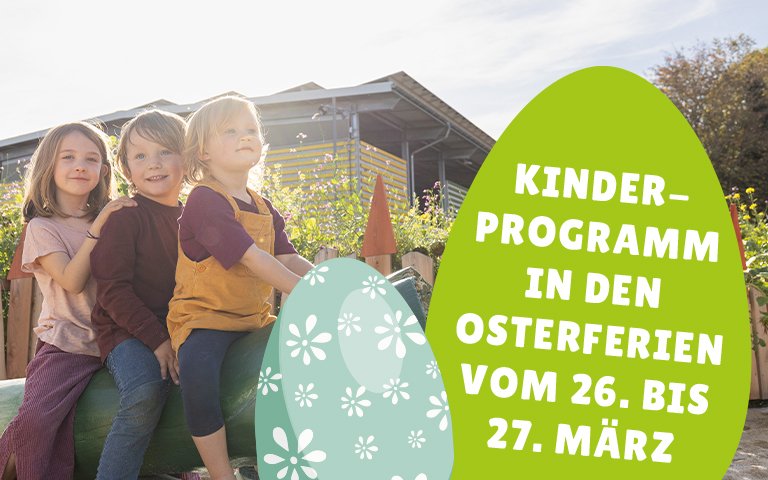 Banner Ferienprogramm klein