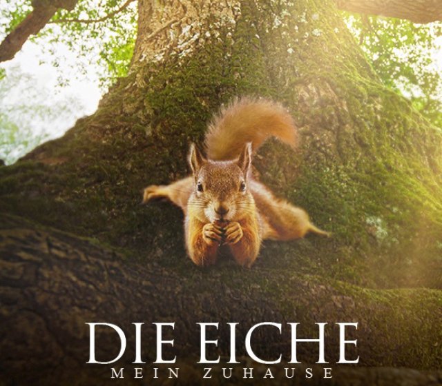 Die Eiche