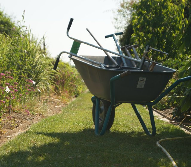 Garten
